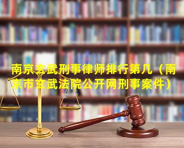 南京玄武刑事律师排行第几（南京市玄武法院公开网刑事案件）