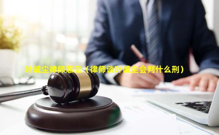 叶诚尘律师意见（律师谈叶诚尘会判什么刑）