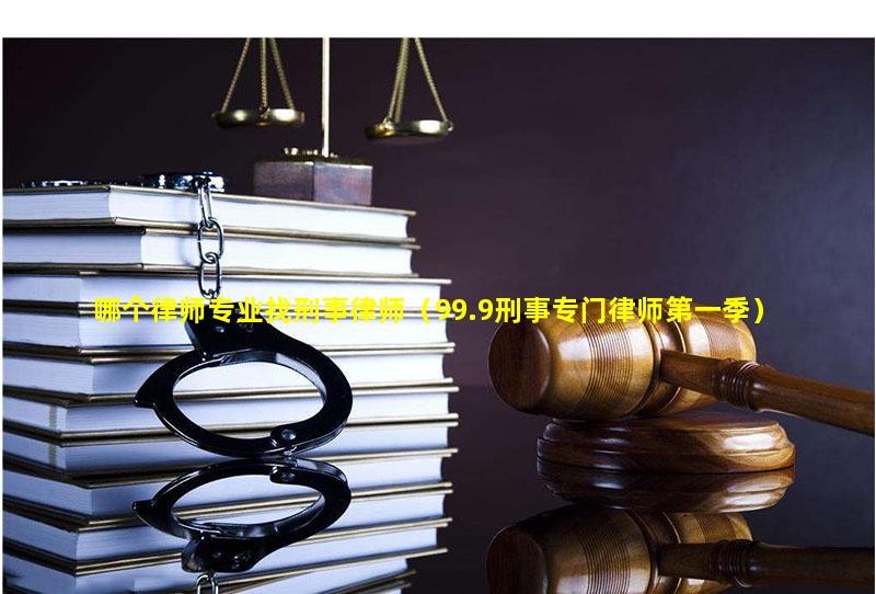 哪个律师专业找刑事律师（99.9刑事专门律师第一季）